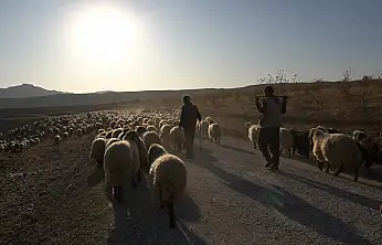 Siirt'te nüfus düşüşü sürüyor: Köylerde de göç devam ediyor