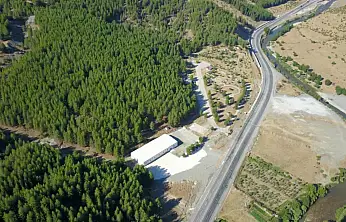 Siirt'te Orman Kadastrosu Verileri Açıklandı: 259 Bin Hektar Kayıt Altında