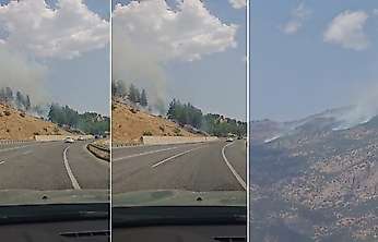 Siirt'te Orman Yangınları: 2 İlçe ve Üç Bölgede Ekipler Seferber Oldu