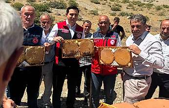Siirt'te Pervari Balının Geleceği İçin Yeni Adım: Organik Üretim Alanı Açılıyor