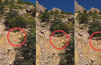 Siirt'te Piknik İçin Gittiler, Karşılarında Yaban Keçisi Sürüsünü Görünce Şaşkına Döndüler