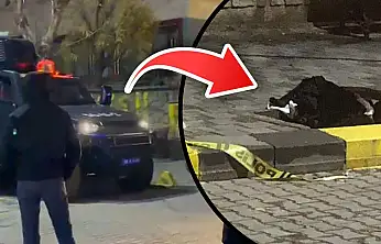 Siirt'te şüpheli paket paniği: Fünyeyle patlatıldı, içinden kıyafet çıktı