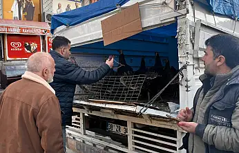 Siirt'te yılbaşı öncesi hindilere talep arttı fiyatları belli oldu!