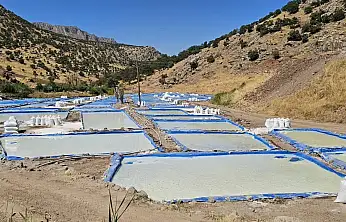 Siirt'te Yılda 550 Ton Üretiliyor! Tuzcular Köyü'nün Ekonomiye Katkısı Büyüyor