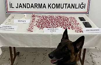 Siirt'te Yolcu Otobüsünde 2 Bin 650 Uyuşturucu Hap Ele Geçirildi