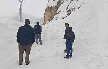 Siirt'te yüksek kesimlerde etkili olan kar yağışında vatandaşlar mahsur kaldı!