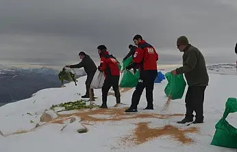 Siirt'te Zorlu Kış Şartlarında Yaban Hayvanları Unutulmadı