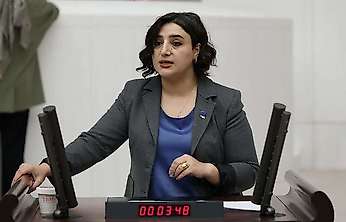 Siirt'teki Zehirlenme Olayı Meclis Gündeminde: Sabahat Erdoğan Sarıtaş'tan İki Bakanlığa Soru Önergesi