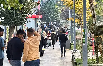 Siirt'ten Göç Edenlerin Sayısı Ve Neden Gittikleri Belli Oldu