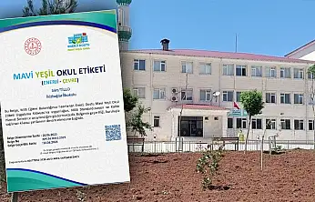 Siirt Tillo İkizbağlar İlk-Ortaokulu ''Mavi Yeşil Okul'' Etiketi Almaya Hak Kazandı