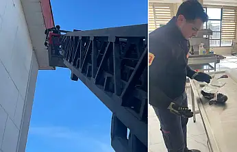 Siirt Üniversitesi'nde yaralı karga itfaiye ekiplerince kurtarıldı