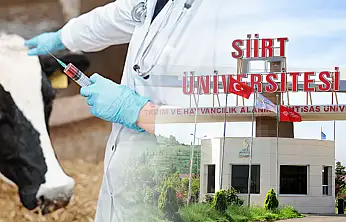 Siirt Üniversitesi Veteriner Fakültesi'nde üç anabilim dalında araştırma görevlisi alımı sonuçlandı