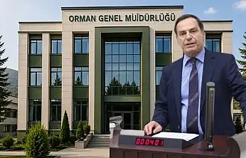 Siirtli Siyasetçi ve Bürokratlar Dikkat! Komşu İlin Siyasetçileri Orman Bölge Müdürlüğü İçin Harekete Geçti