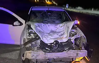 Son Dakika! Siirt'te Otomobil Yola Aniden Çıkan Ata Çarptı