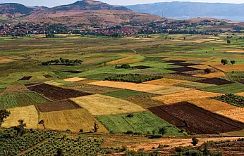 TCDD, Siirt Kurtalan'da 26 bin metrekarelik tarım arazisini kiraya çıkarıyor