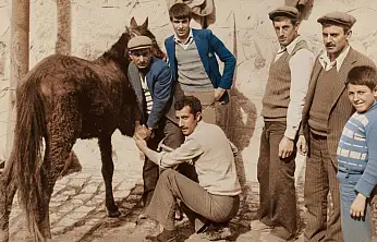 Ustaların şehri: Siirt'te nalbantlığın unutulan hikâyesi