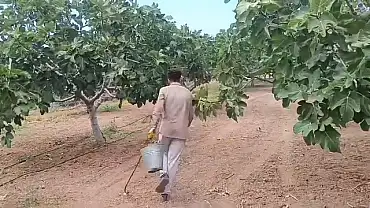 1400 TL İçin Binlerce Kilometre Uzakta: Siirt’te İşsizlik Dram