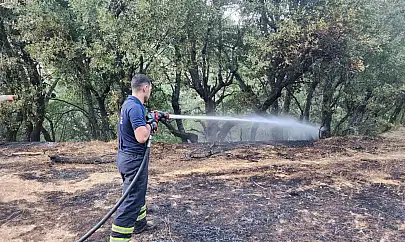 Siirt'te Orman Yangını! Ekipler Seferber Oldu