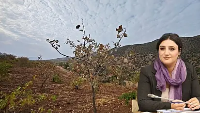 Siirt Milletvekili Sarıtaş'tan Bakan Yumaklı'ya Siirt Fıstığı İçin Soru Önergesi