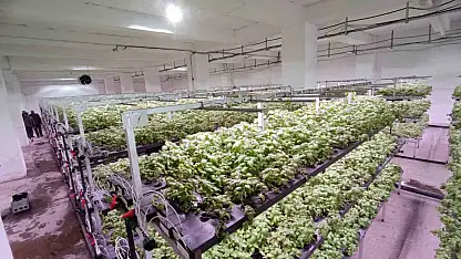 Batman'a eksi birinci katta 30 milyonluk 'dikey tarım' yatırımı