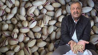 Siirt fıstığında ithal ve fiyat oyunu: '600 liraya alıp 1500 liraya satıyorlar'