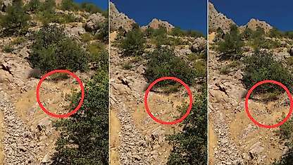 Siirt'te Piknik İçin Gittiler, Karşılarında Yaban Keçisi Sürüsünü Görünce Şaşkına Döndüler