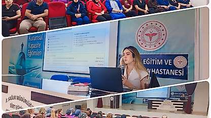 Siirt'te Sağlık Çalışanlarına Sezaryen Sonrası Normal Doğum Eğitimi