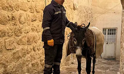 Mardin'de 'kadrolu' eşekleri emekli edecek proje hayata geçiyor