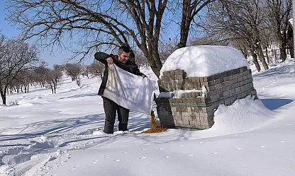 Siirt'te yaban hayvanları için kış şartlarında yem ve mama desteği