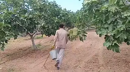 1400 TL İçin Binlerce Kilometre Uzakta: Siirt'te İşsizlik Dram