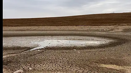 Kurtalan Belediyesi'nden Çayırlı Köyü Göletindeki Balıklar İçin Su Takviyesi