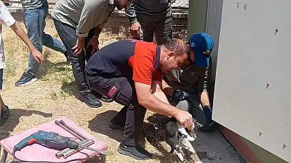 Kurtalan'da Trafo Deliğine Sıkışan Kedi Ekiplerin Çalışmasıyla Kurtarıldı