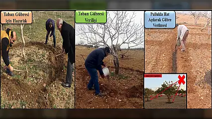Siirt fıstığında doğru gübreleme için kritik dönem! Siirt Fıstıkçılık birimi detayları anlattı