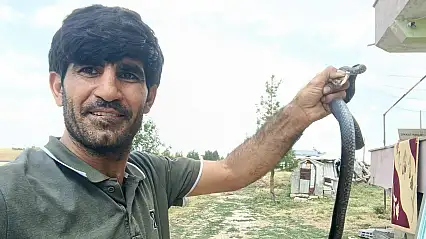 Siirt Kurtalan'da Eve Giren Yılanı Çıplak Elle Yakaladı, Doğaya Bıraktı