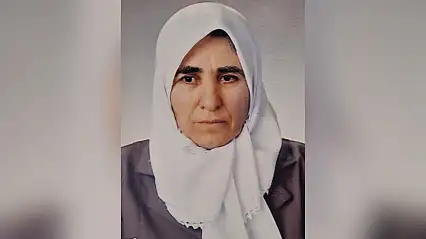Siirt Kurtalan'da Nefiya Bağrıyanık Hayatını Kaybetti