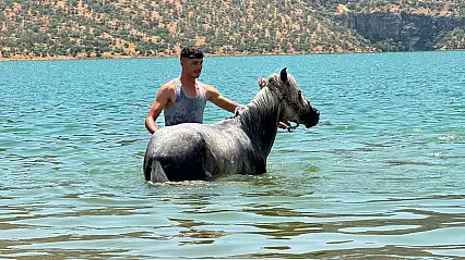 Siirt'te 39 Dereceyi Gören Sıcaklarda Vatandaşlar Atlarını Suya Sokarak Serinletti