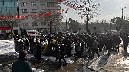 Siirt'te DBP Eş Başkanının Katılımıyla Dayanışma Yürüyüşü Düzenlenecek