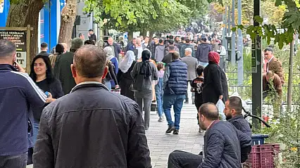 Siirt'te Göçün Nedeni Ortaya Çıktı: En Çok Ailevi Sebepler Etkili Oldu