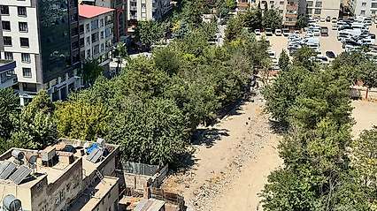 Siirt'te Mevlana Çay Bahçesi Boşaltıldı, Gözler Onlarca Büyük Ağaçta