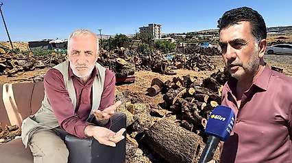 Siirt'te Sobalık Odun Alacaklar Dikkat! Odun Fiyatlarına Zam Geldi