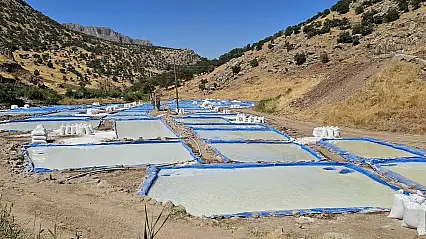 Siirt'te Yılda 550 Ton Üretiliyor! Tuzcular Köyü'nün Ekonomiye Katkısı Büyüyor