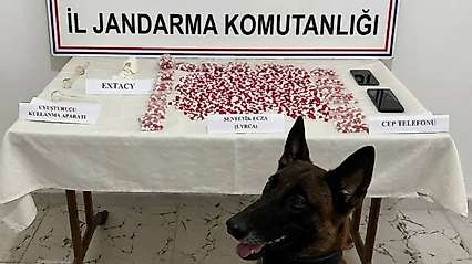 Siirt'te Yolcu Otobüsünde 2 Bin 650 Uyuşturucu Hap Ele Geçirildi