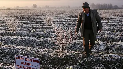 Siirt'te Zirai Don Alarmı: Tarlaya Çıkmak Riskli mi, Ürünler Tehlikede mi?