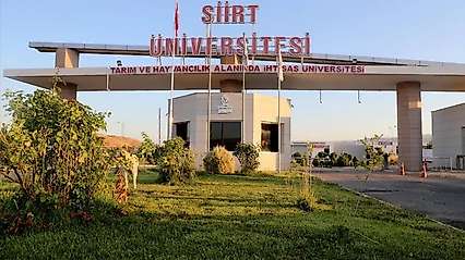 Siirt Üniversitesi'nde Mehmet Dağ için yeni gelişme: Görevden çıkarma kararı iptal edildi