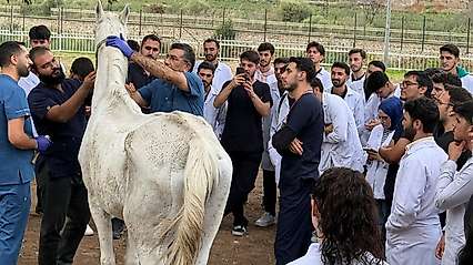 Siirt Üniversitesi Öğrencileri At Çiftliğinde Sahaya İndi