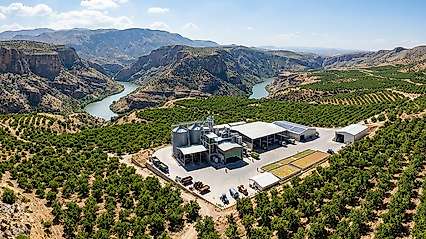 Siirt Urfa'nın Kaderini Yaşayabilir: Siirt Fıstığı Tescil Aldı Ama Ticaretini Alamadı