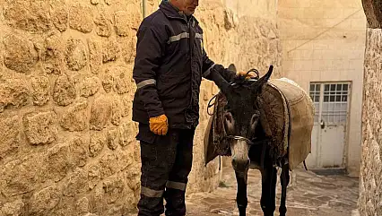 Mardin'de 'kadrolu' eşekleri emekli edecek proje hayata geçiyor
