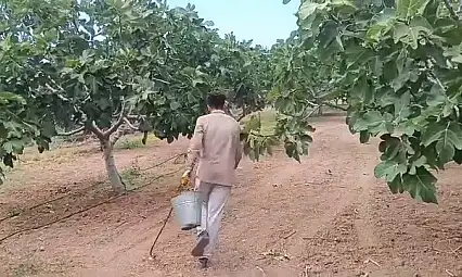 1400 TL İçin Binlerce Kilometre Uzakta: Siirt'te İşsizlik Dram