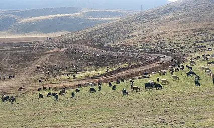 Artı Siirt Gündeme Getirdi! Valilik El Attı! Siirt'in En Büyük Gölü Yeniden Hayat Bulacak