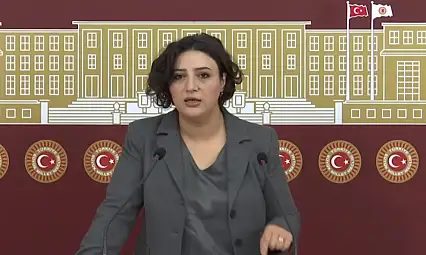 DEM Partili Sarıtaş, Siirt'in Kronikleşen Sorunlarını Meclis Gündemine Taşıdı